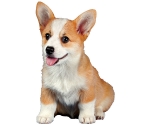 Puppies