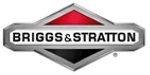 Briggs & Stratton