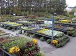 Nursery