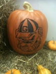 Need a UGA Dawg Fan Pumpkin?