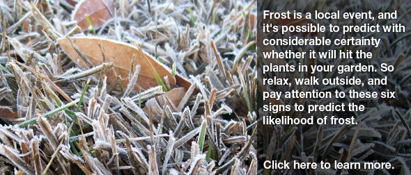 A Gardener's Guide to Frost