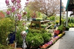 Nursery