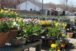 Nursery