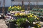 Nursery