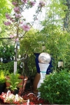 Nursery
