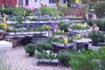 Nursery