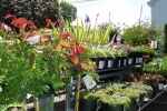 Nursery