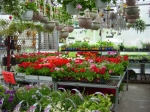 Nursery