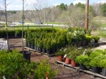 Nursery