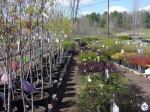 Nursery