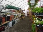 Nursery