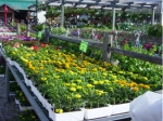 Nursery