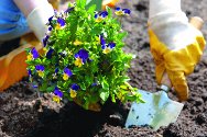 Garden Club