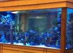 Client Tank