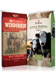 Purina Wind&Rain/Cattle Mineral