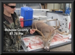 Big Buck Contest 2011