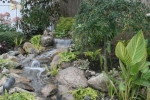 Waterfalls