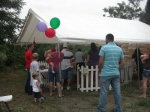 Petting Zoo - July 2011