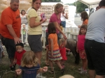 Petting Zoo - July 2011