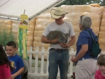 Petting Zoo - July 2011