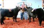 Jefferson County Fair 2009