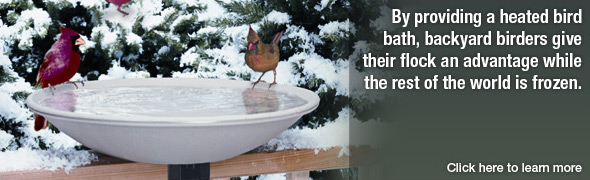 Heated Bird Baths