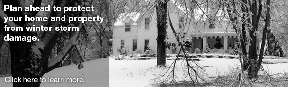 Cold Weather Preparation Tips