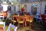 Tent with Clear Span roof