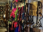 Around Our Store