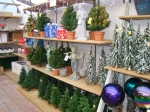 Give your garden the glory of the holiday season.