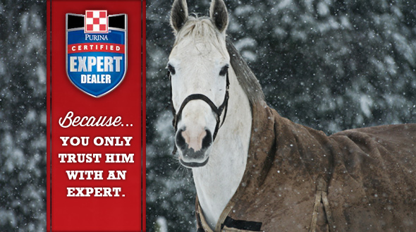 Equine CED Ad