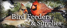 Bird Feeders