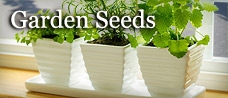 Garden Seeds