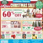 After Christmas Sale