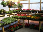 Nursery