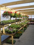 Nursery