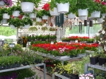 Greenhouse
