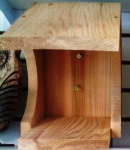 Robin Nesting Ledge