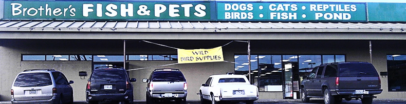Store Front ad