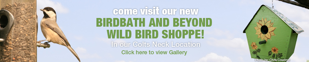 Come see our new Birdbath and Beyond Wild Bird Shoppe in our Colts Neck Location
