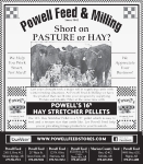 Short on Pasture