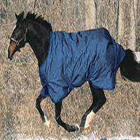 Winter Blankets 15% Off