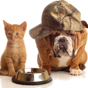 Responsible Pet Owners Month