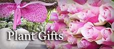 plant gifts