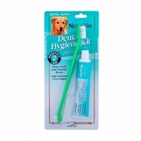Oral Hygiene Kit just $4.99