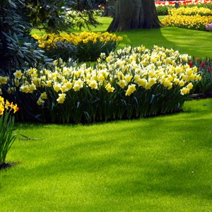 Lawn Care Seminar