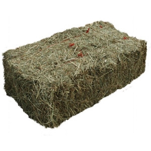 Free Bale of Compressed Hay