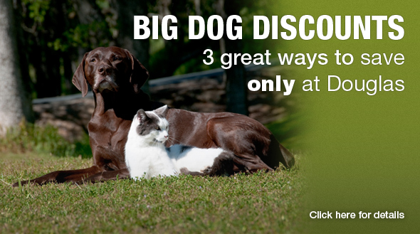 Big Dog Discounts