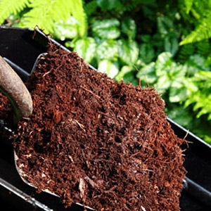  “Composting At Home” Presented by Ron Shulman