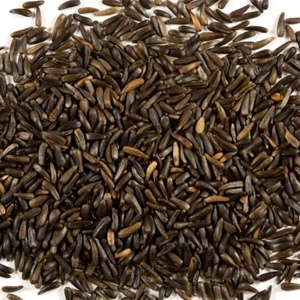 20lbs Nyjer Seed for $17.99